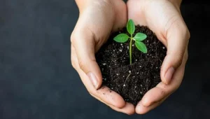 transformation-growth-mindset-concept-a-pair-of-ha